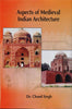 Aspects of Medival IndianArchitecture thumbnail 1