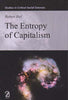The Entropy of Capitalism (Studies in Critical Social Sciences) thumbnail 1