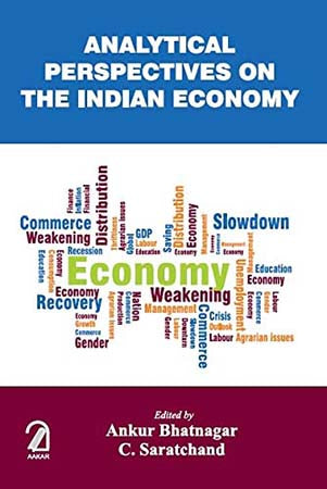 Analytical Perspectives on the Indian Economy