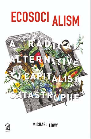 Ecosocialism: A Radical Alternative to Capitalist Catastrophe