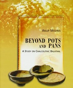 BEYOND POTS AND PANS: A Study on Chalcolithic Balathal
