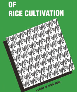 Economic Analysis of Rice Cultivation: A Study of Tamil Nadu