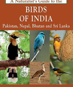 A Naturalist?s Guide to the Birds of India