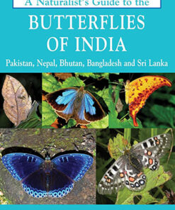 A Naturalist'S Guide To The Butterflies Of India