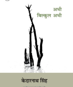 अभी बिल्कुल अभी (Abhi Bilkul Abhi )
