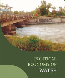 POLITICAL ECONOMY OF WATER