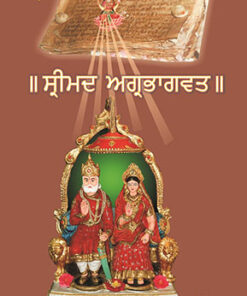 Srimad Agrabhagavatam (Sankrit-Punjabi)