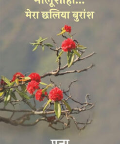 मालूशाही मेरा छलिया बुरांश (Malushahi Mera Chhalia Buarnsh )