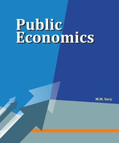 Public Economics