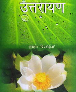 Uttarayan  उत्तरायण