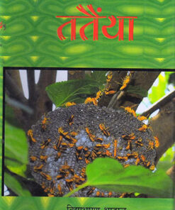 Wasp  ततैंया