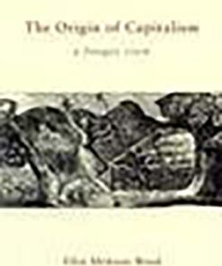 The Origin of Capitalism: A Longer View