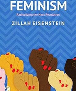 Abolitionist Socialist Feminism: Radicalizing the Next Revolution