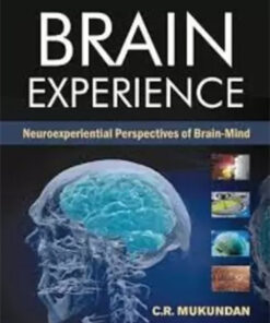 Brain At Work : Neuroexperiential Perspectives