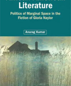 African American Literature : Politics Of Marginal Space In The Fiction Of Gloria Naylor