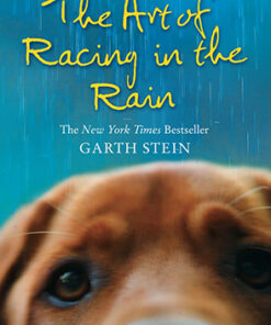 THE ART OF RACING IN THE RAIN