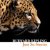 JUST SO STORIES