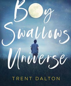 BOY SWALLOWS UNIVERSE