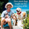 Hope - How street dogs taught me the meaning of life