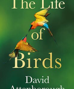 THE LIFE OF BIRDS