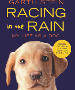 RACING IN THE RAIN