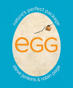 EGG: NATURE'S PERFECT PACKAGE