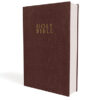NIV, GIFT AND AWARD BIBLE, LEATHER-LOOK, BURGUNDY, RED LETTE
