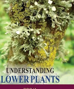 Understanding Lower Plants