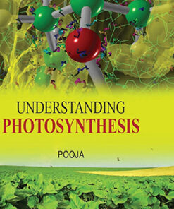 Understanding Photosynthesis