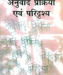 अनुवाद प्रक्रिया और परिदृश्य (Translation Process and Scenarios)