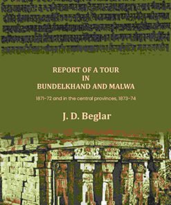 Report of a Tour in Bundelkhand and Malwa: 1871-72 and in the central provinces, 1873-74