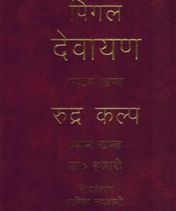 पिंगल देवयान (ब्रह्म कल्प) खंड-8 (Pingal Devayana (Brahma Kalp) Volume-8)
